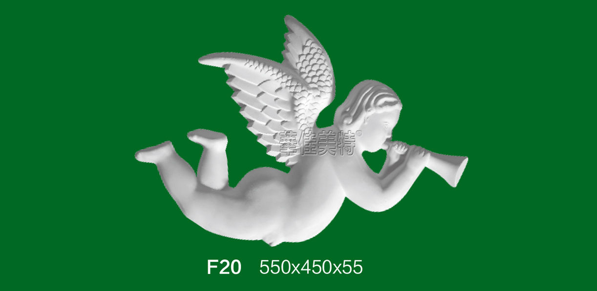 F20